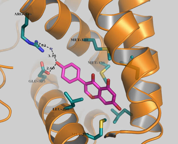 molecule_ceamedsa (5)